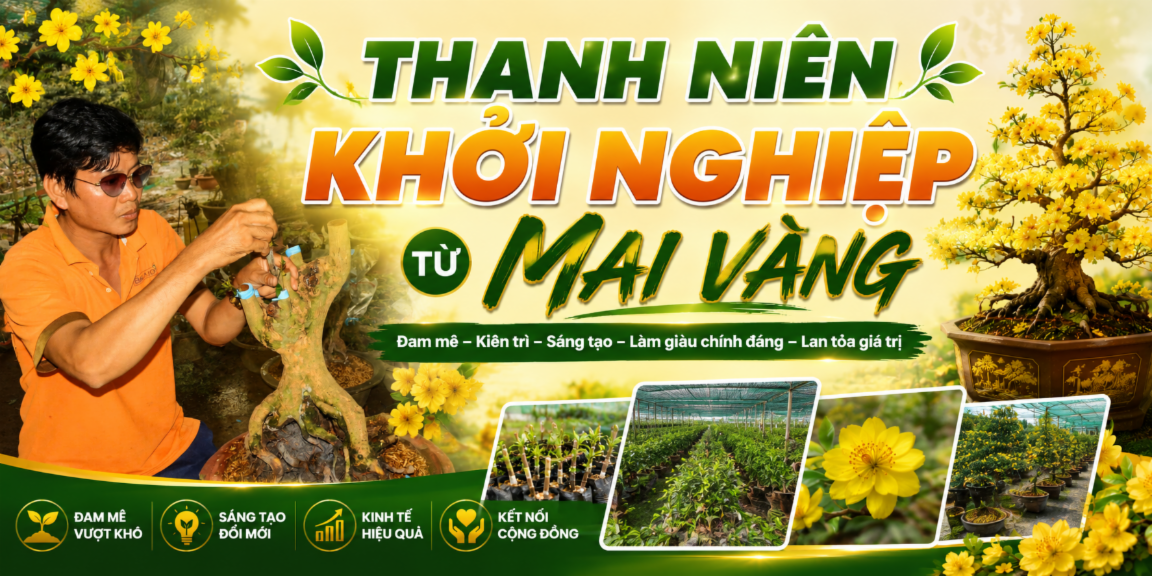 Title Mai Vang.png